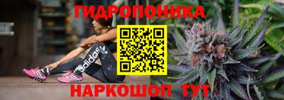 крисы Волжск