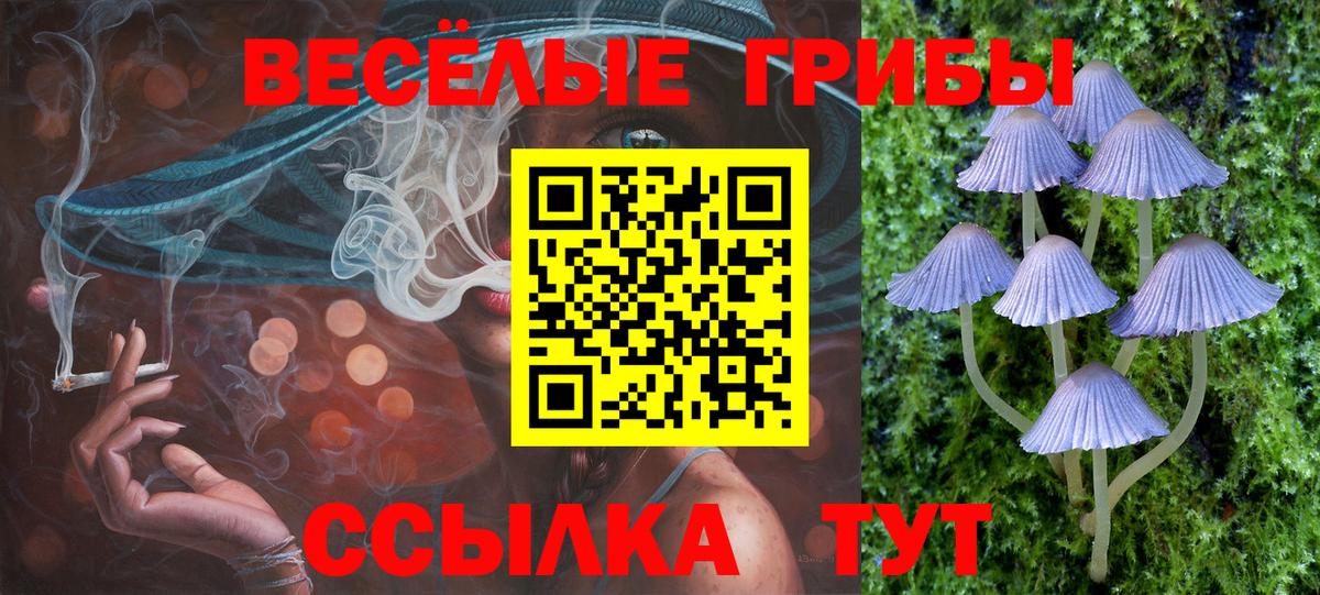 Псилоцибиновые грибы Magic Shrooms Лесной